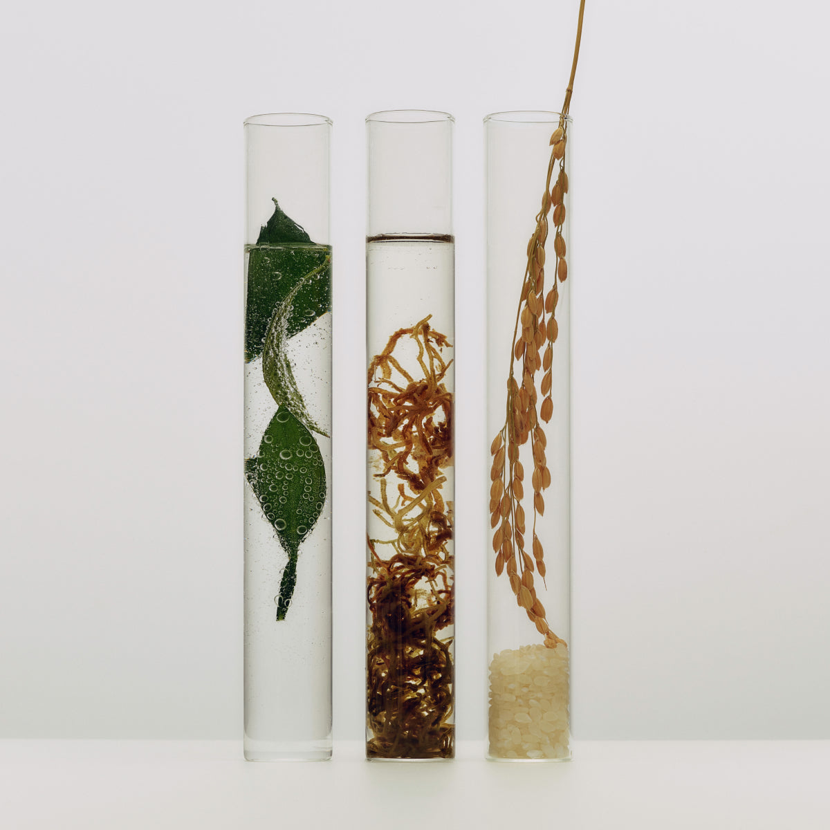 Essence-Aug26-Ppage-Ingredients_c1df2af4-7416-40fd-b62f-cfa40b331e8e.jpg