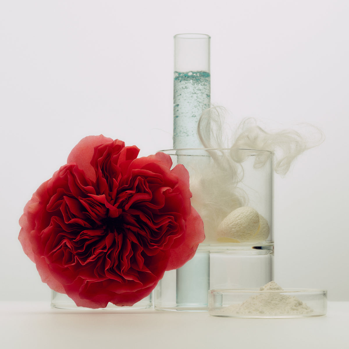 SilkCream-Aug26-Ppage-Ingredients_af57346c-5155-43b5-bf09-5e7dbbedfc02.jpg