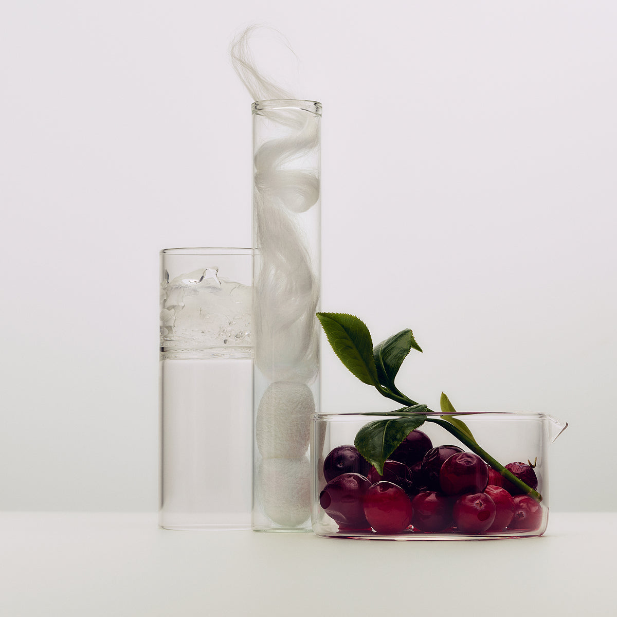 SilkSerum-Aug26-Ppage-Ingredients_891ad4f3-341f-45c8-b102-be864f044df1.jpg